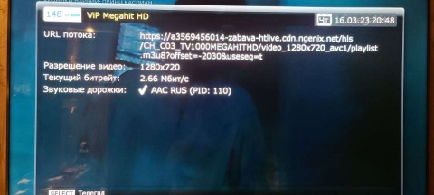 1678988921308.JPEG