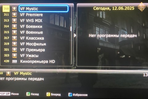 IMG_9769.jpeg