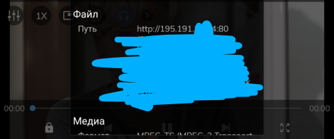 Screenshot_20210218-190700_MX_Player_Pro.png